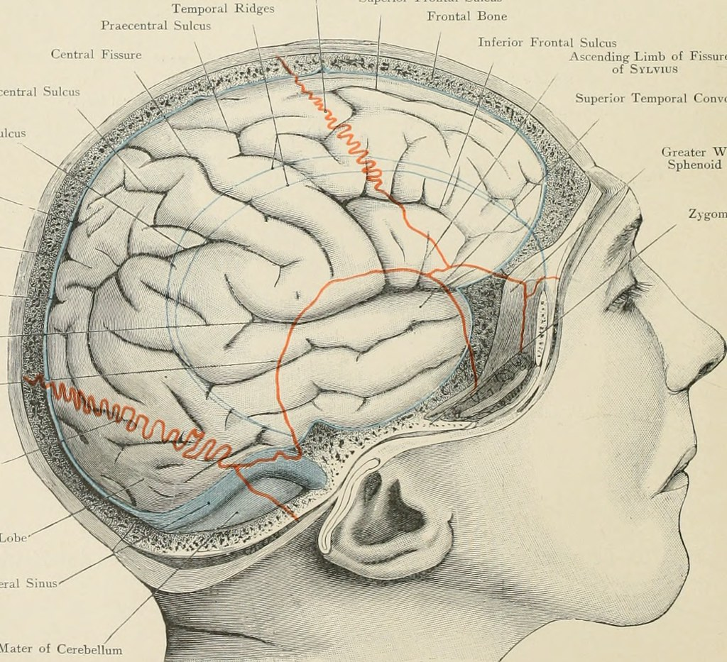 caring-for-someone-with-frontotemporal-dementia-webinar-notes