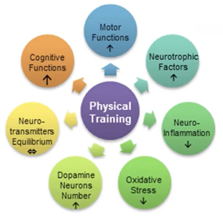 How does exercise help PD