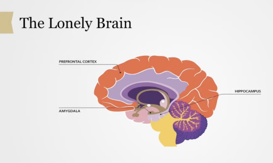 The Lonely Brain
