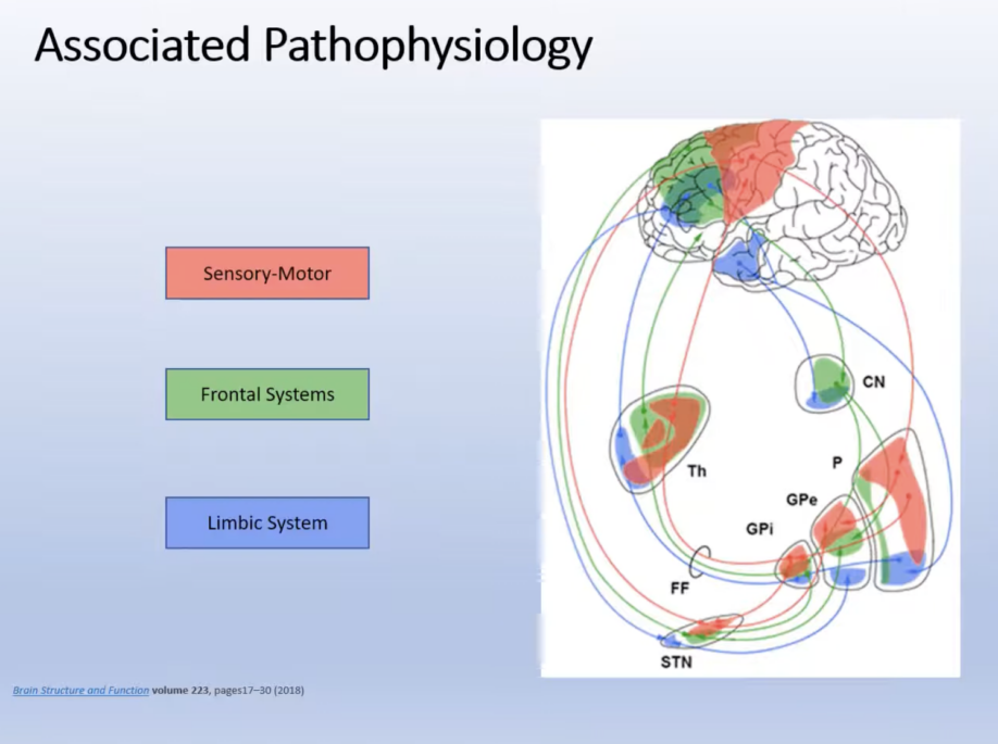 Associated Pathophysiology