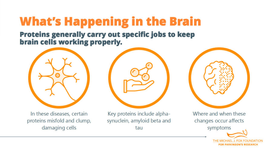 Diagram showing three stages of protein misfolding in brain diseases: normal neuron, misfolded proteins clumping, and protein deposits affecting brain cells