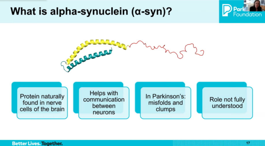 What is alpha-synuclein?